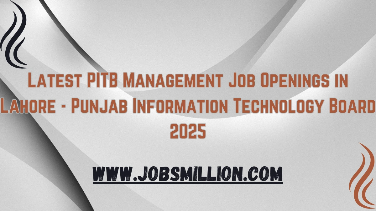 Latest PITB Management Job Openings in Lahore - Punjab Information Technology Board 2025